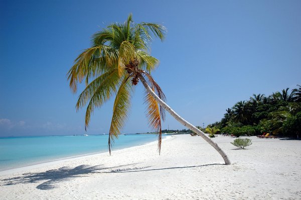 Quels sont les meilleurs conseils pour un séjour écoresponsable à Bali ?